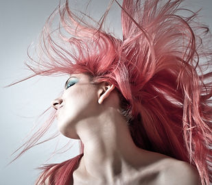 DEEDA SALON in Bonita Springs, FL (4)