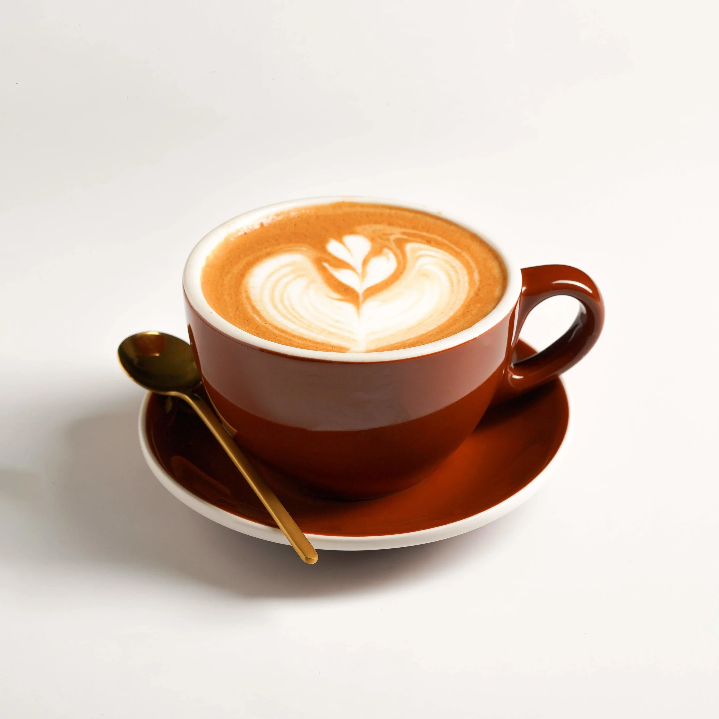 MY Coffee Roastery in Berkeley, CA (4)