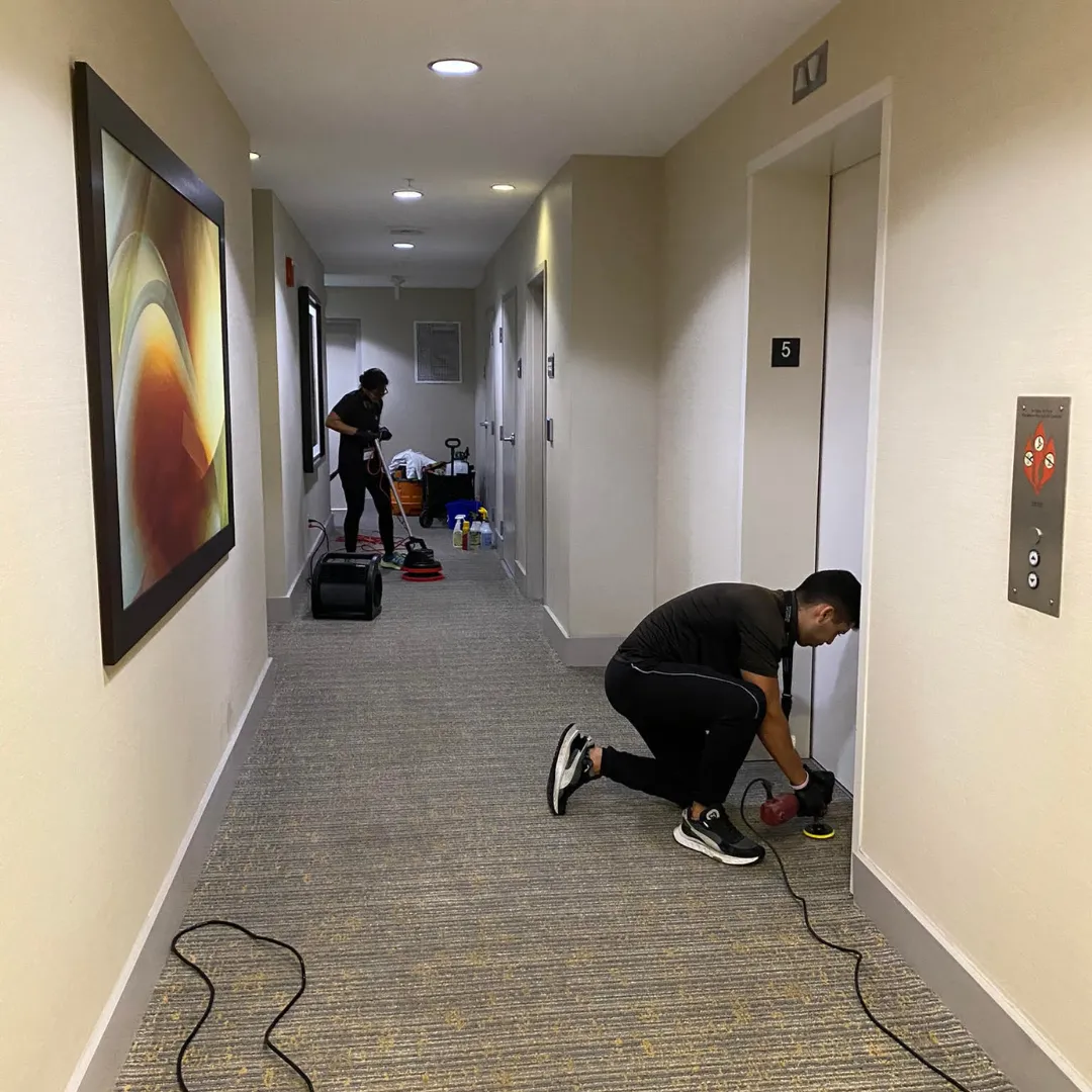 Best Cleaning Tampa in Riverview, FL (3)
