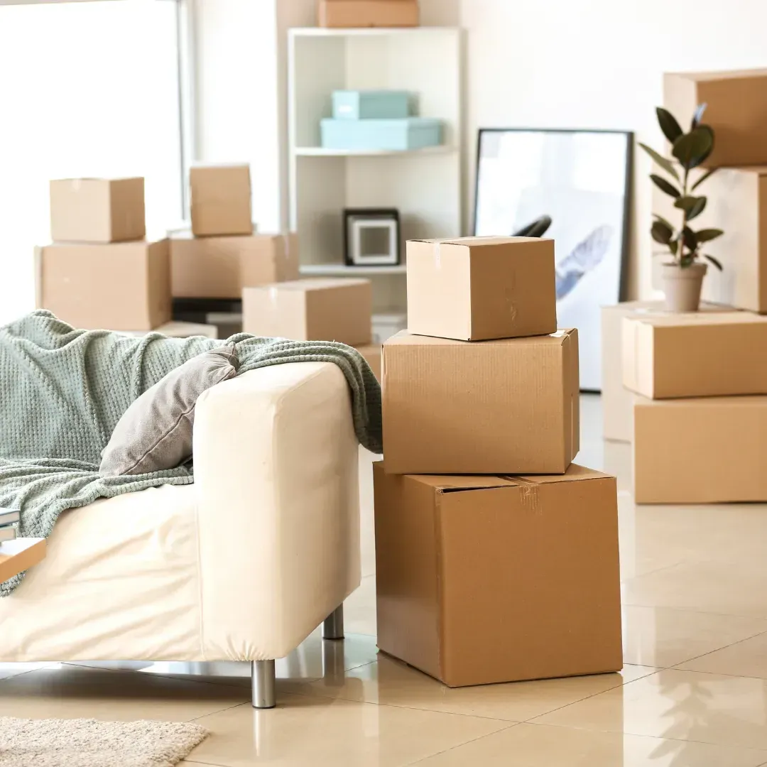 Best Cleaning Tampa in Riverview, FL (6)