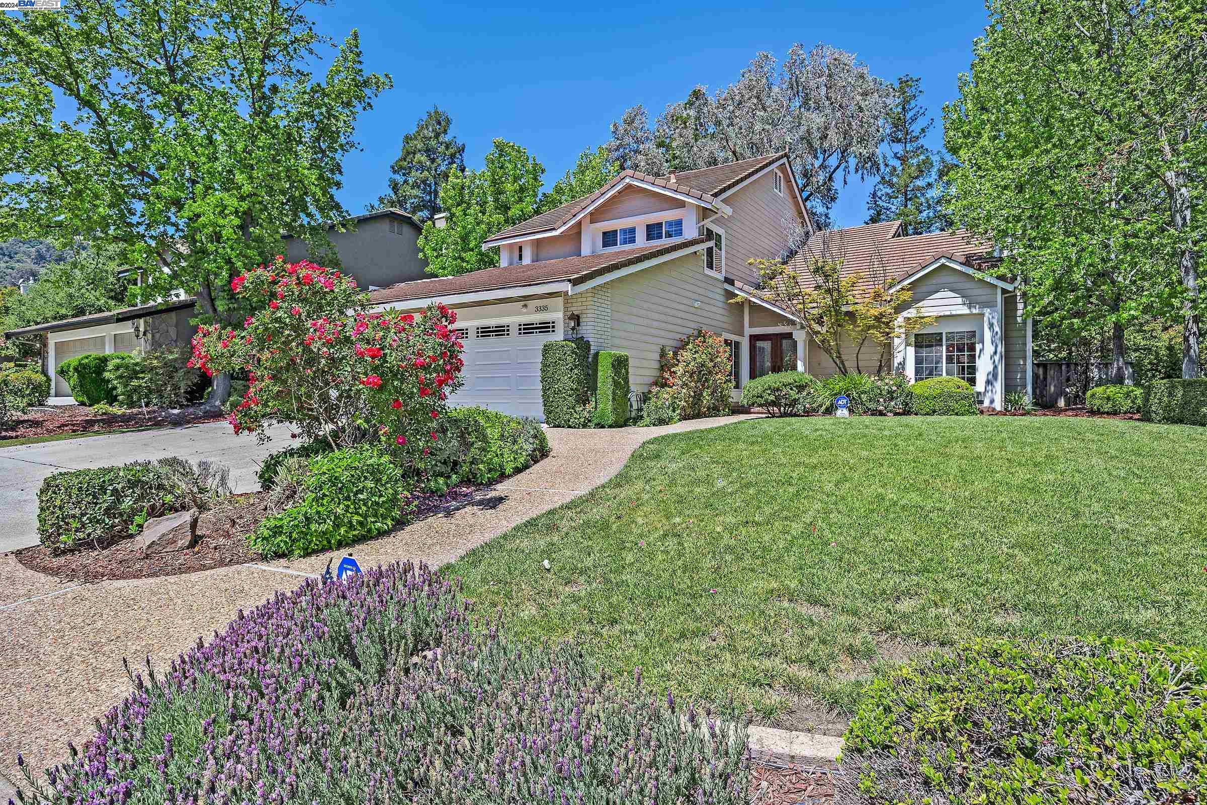Gina Piper | Elation Real Estate in Pleasanton, CA (2)