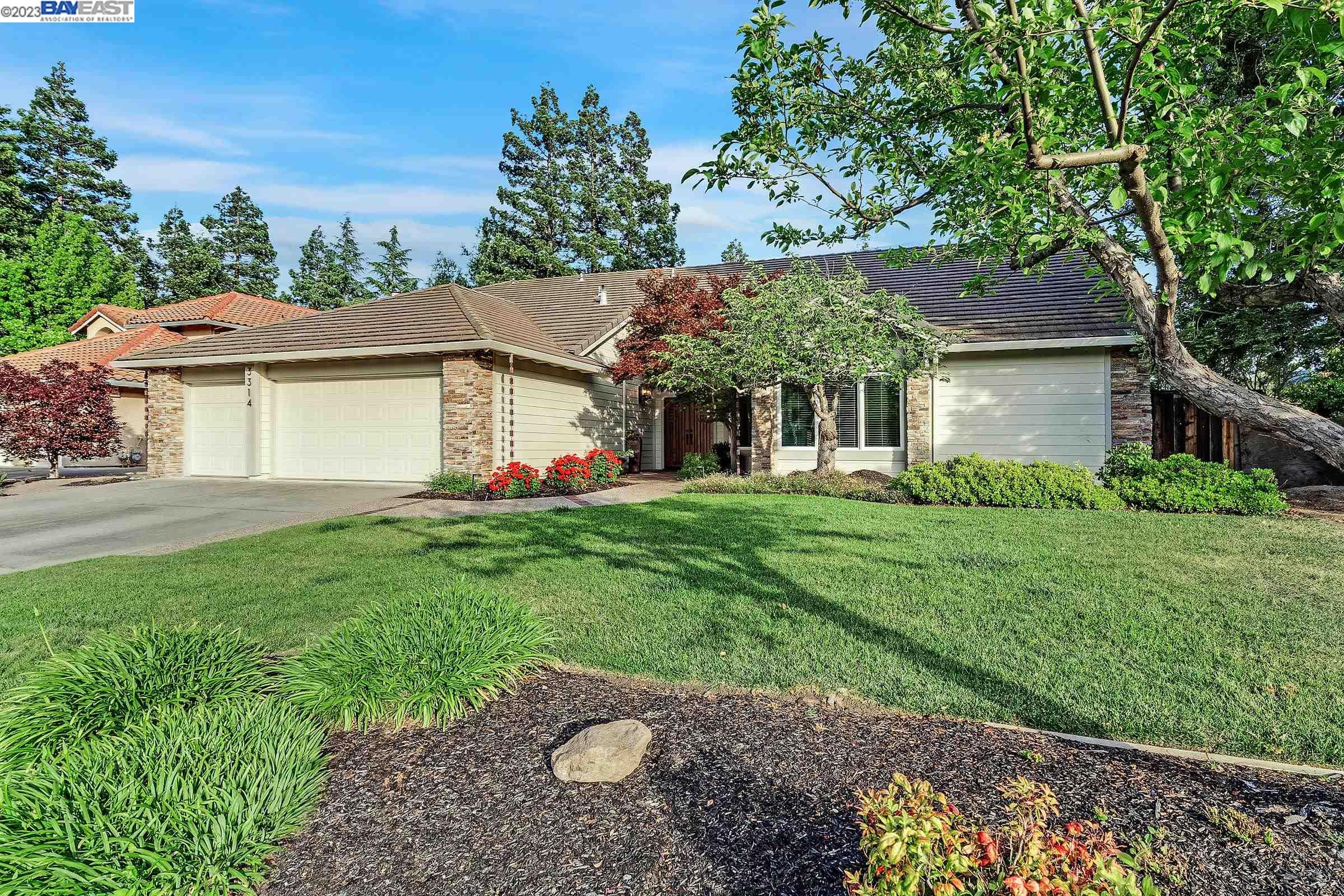Gina Piper | Elation Real Estate in Pleasanton, CA (3)