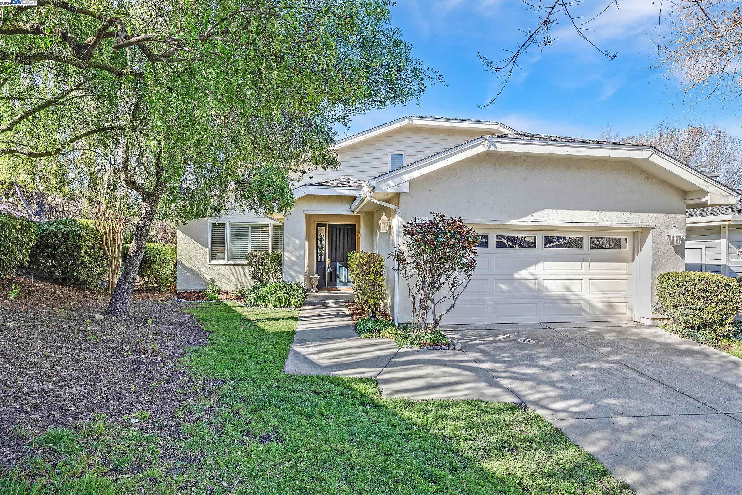 Gina Piper | Elation Real Estate in Pleasanton, CA (4)