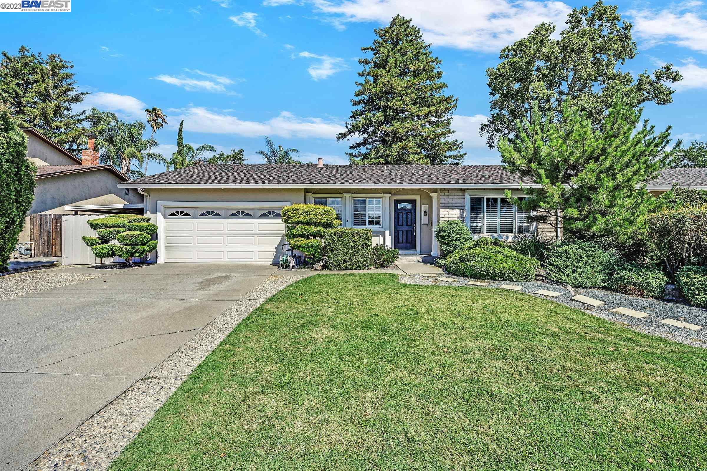 Gina Piper | Elation Real Estate in Pleasanton, CA (5)
