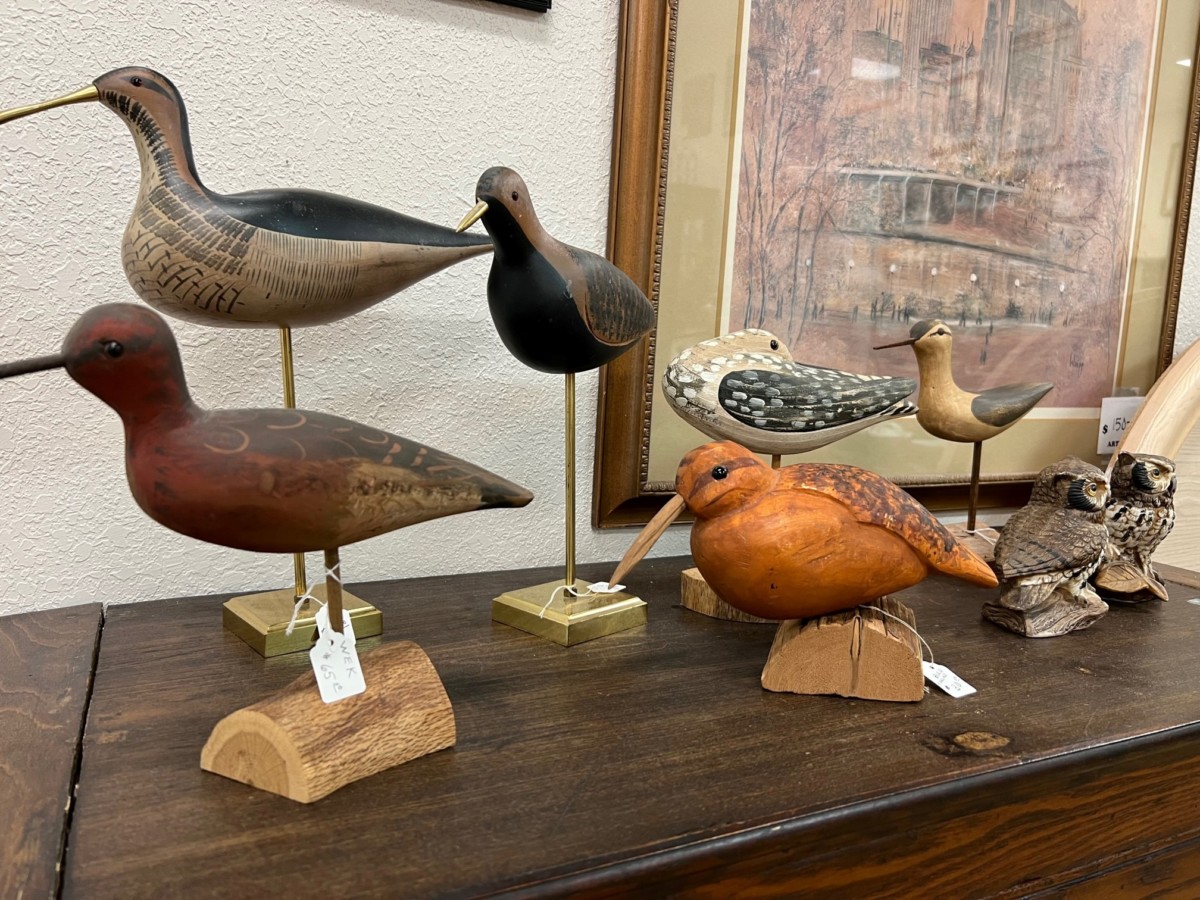 Tidewell Treasures - Venice in Venice, FL (5)