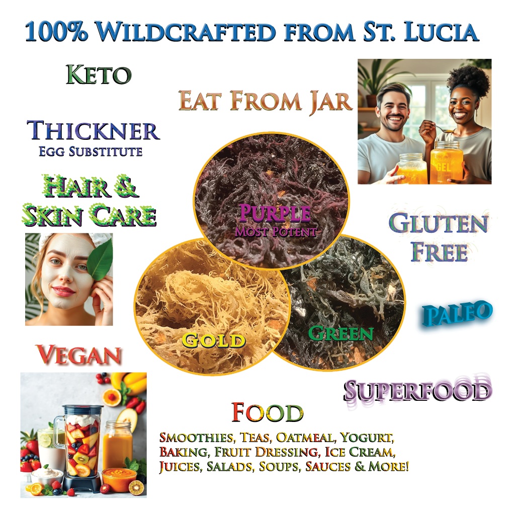 Flavors of Africa by Sheba Foods - Meals, Sea Moss [Raw, Gel & Smoothie-Gold, Green, Purple (Most Potent). We Accept EBT. in Lilburn, GA