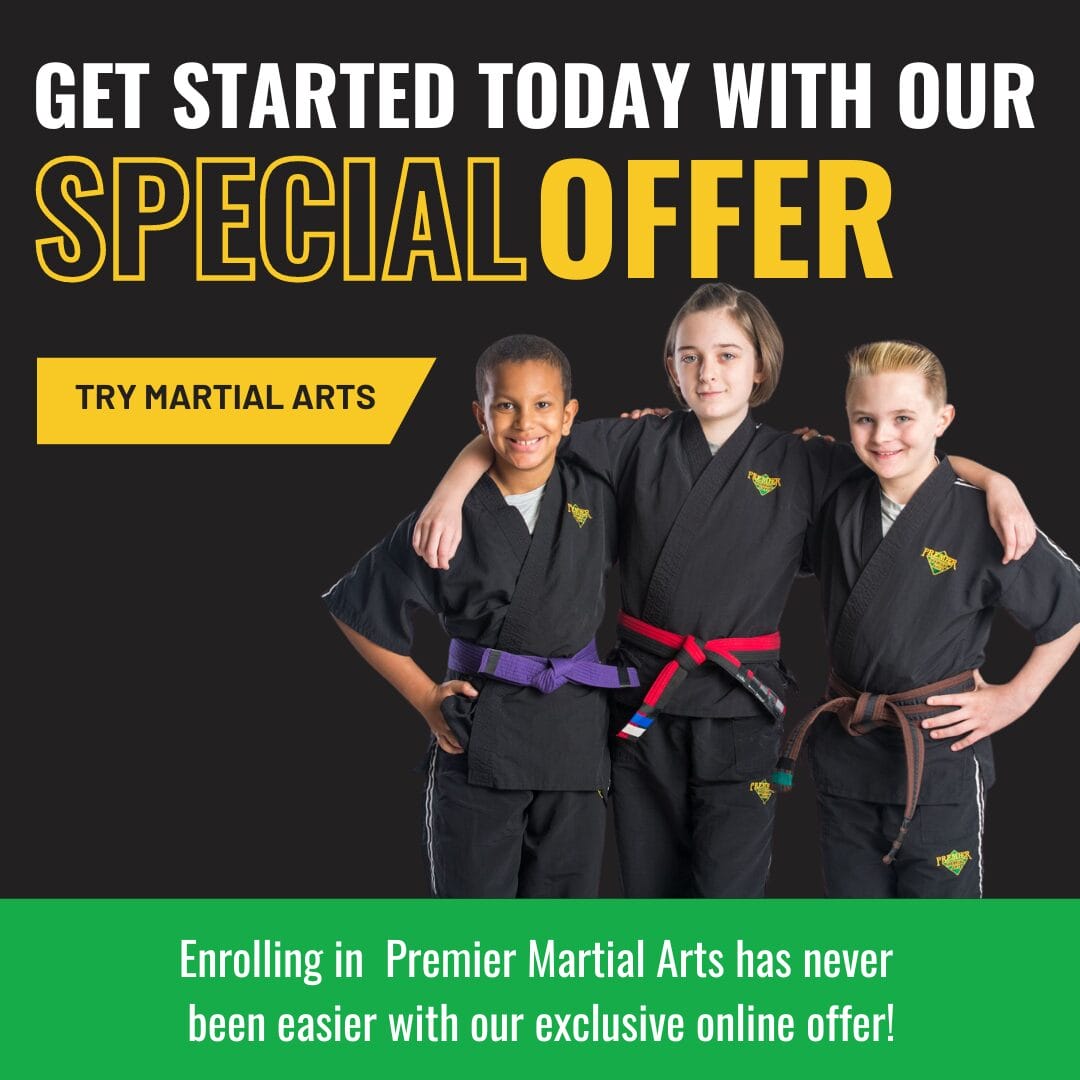 Premier Martial Arts Lakewood in Dallas, TX (4)