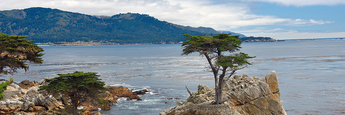 Law Offices of John R. Coniglio in Monterey, CA (2)
