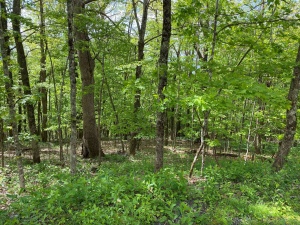 Mountainside Realty, LLC in Lenoir, NC (3)
