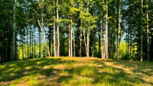 Mountainside Realty, LLC in Lenoir, NC (4)