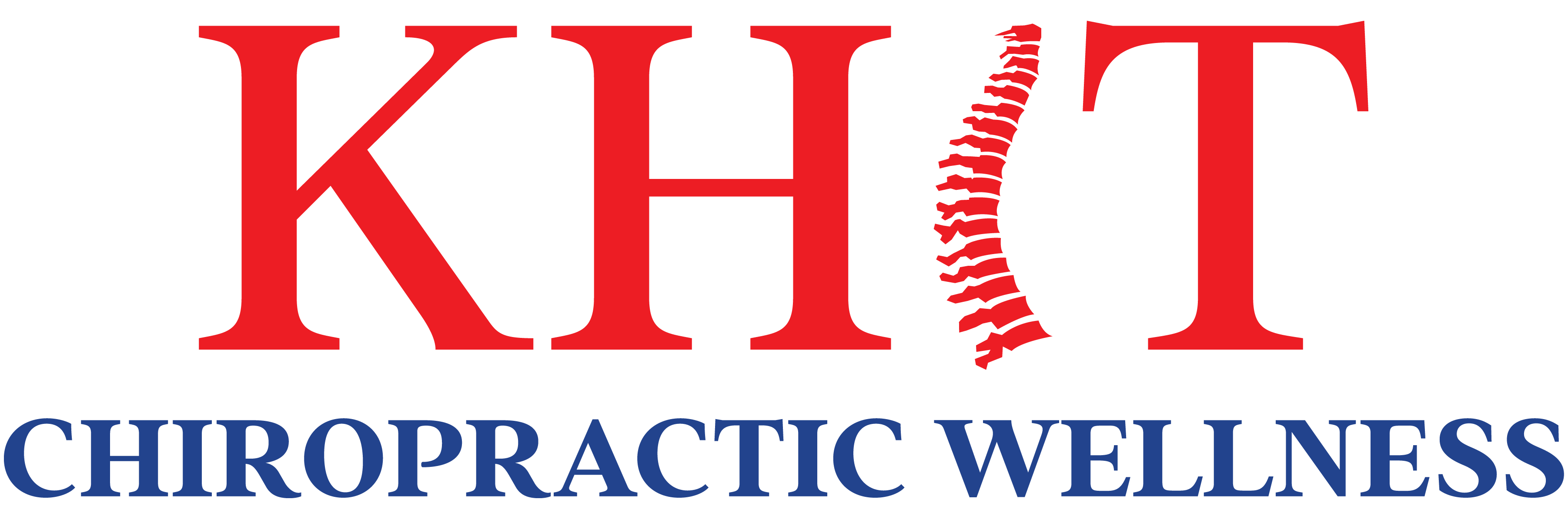 Khit Chiropractic & Wellness Center in Mission, TX (2)
