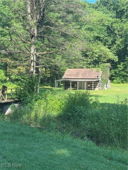 Carol Ann Merritt, Carol Goff & Assoc. in St Clairsville, OH (2)