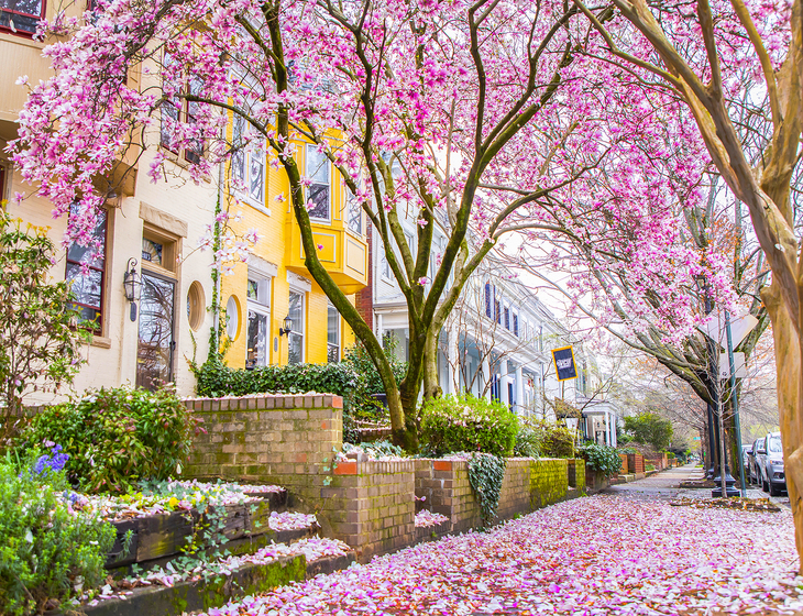 The Collaborative by Fiv Realty Co in Glen Allen, VA (3)