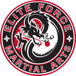 Elite Force Martial Arts in Lighthouse Point, FL (6)