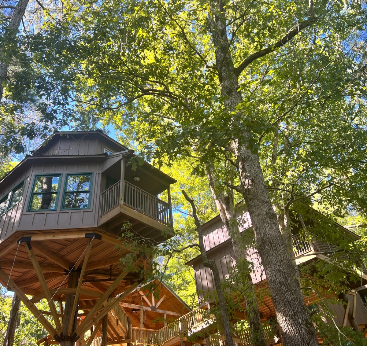 Historic Banning Mills in Whitesburg, GA (6)