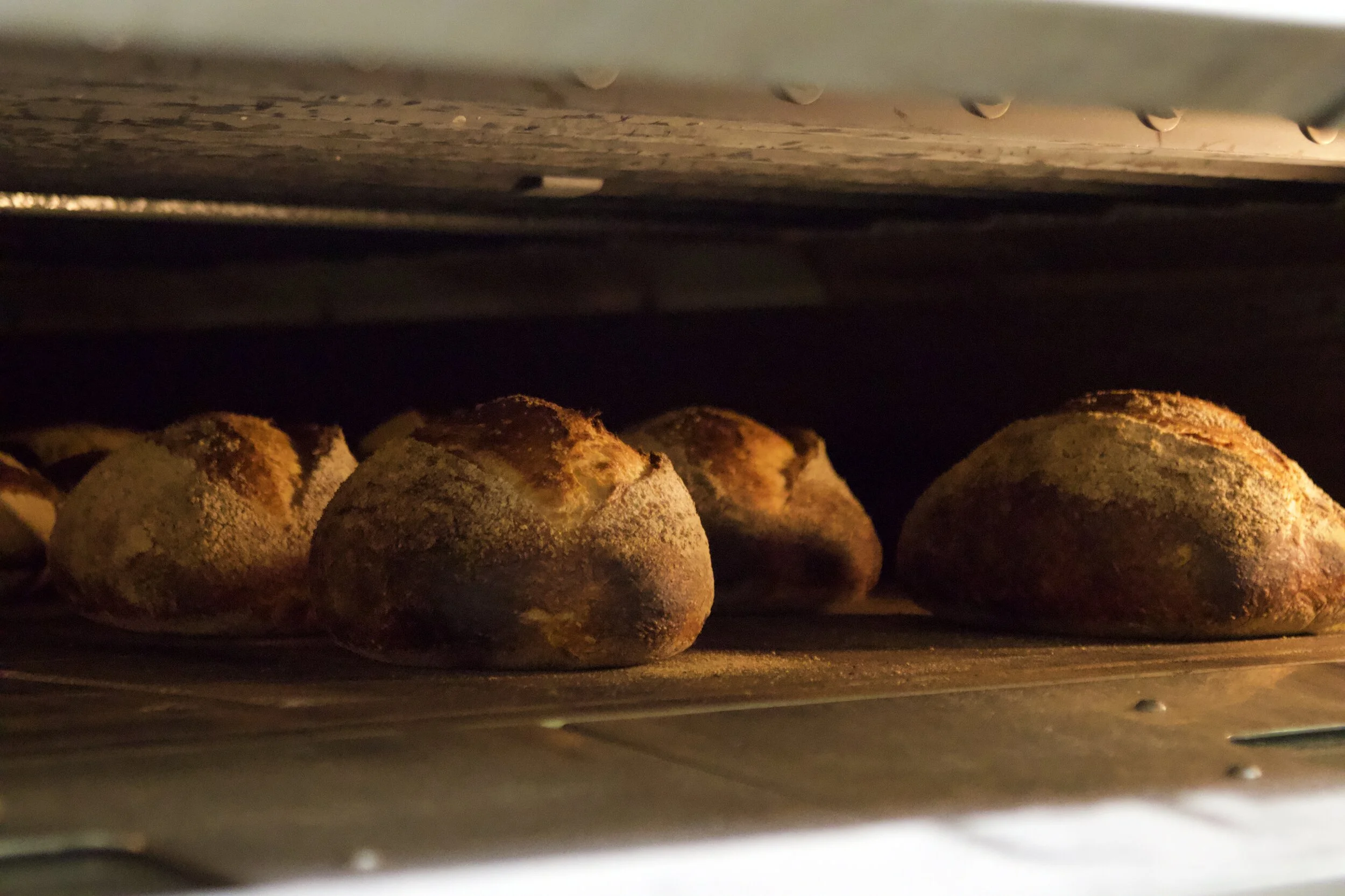 Thorough Bread & Pastry in San Francisco, CA