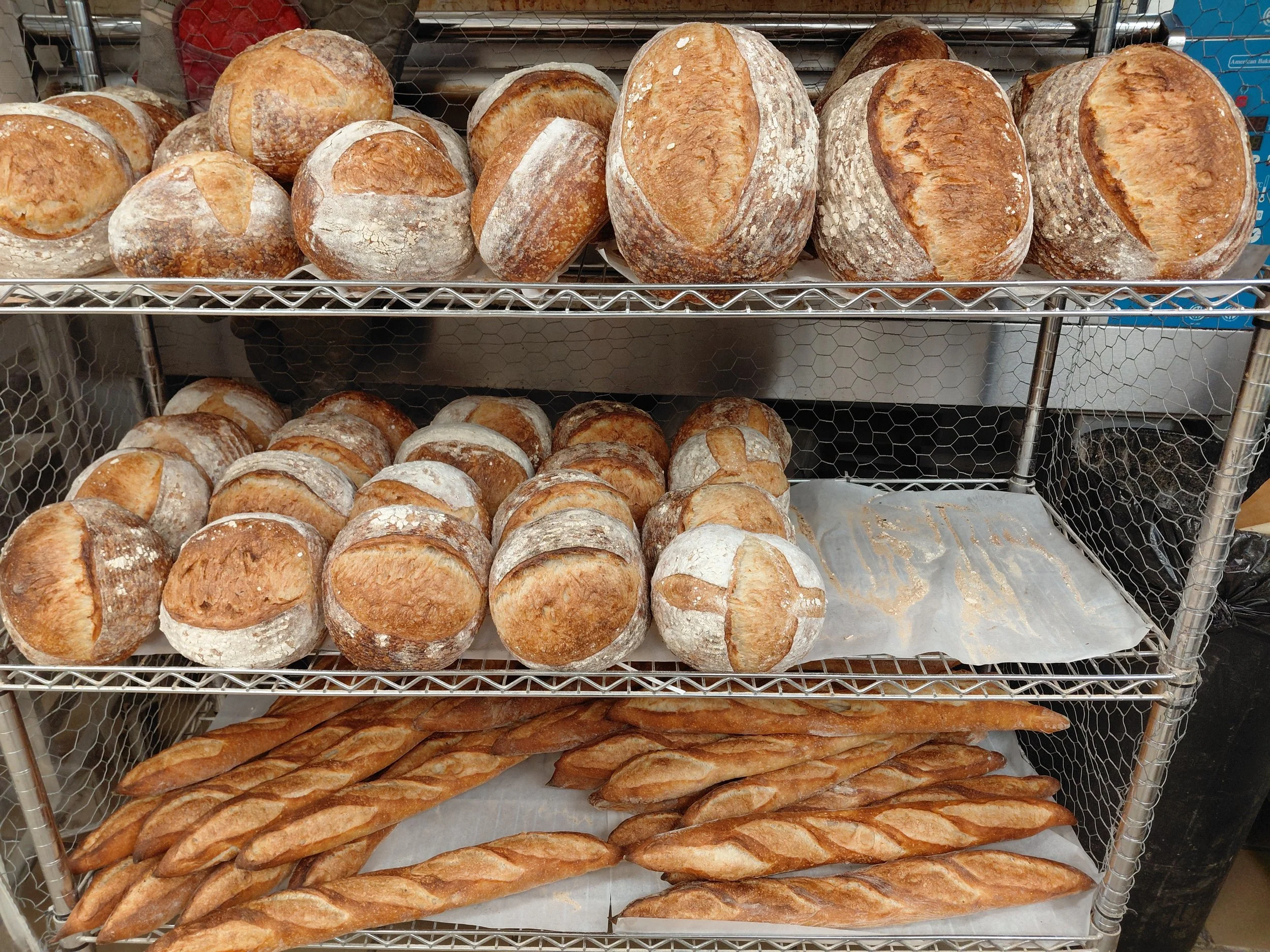 Jax Bread in Jacksonville, FL