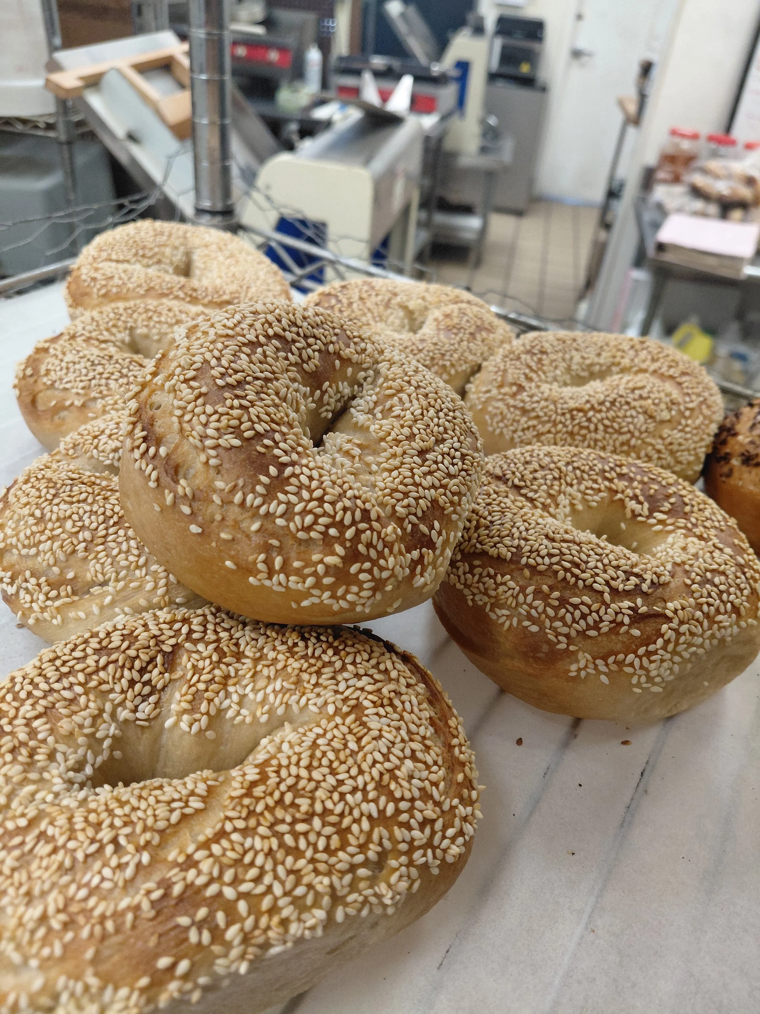 Jax Bread in Jacksonville, FL (2)