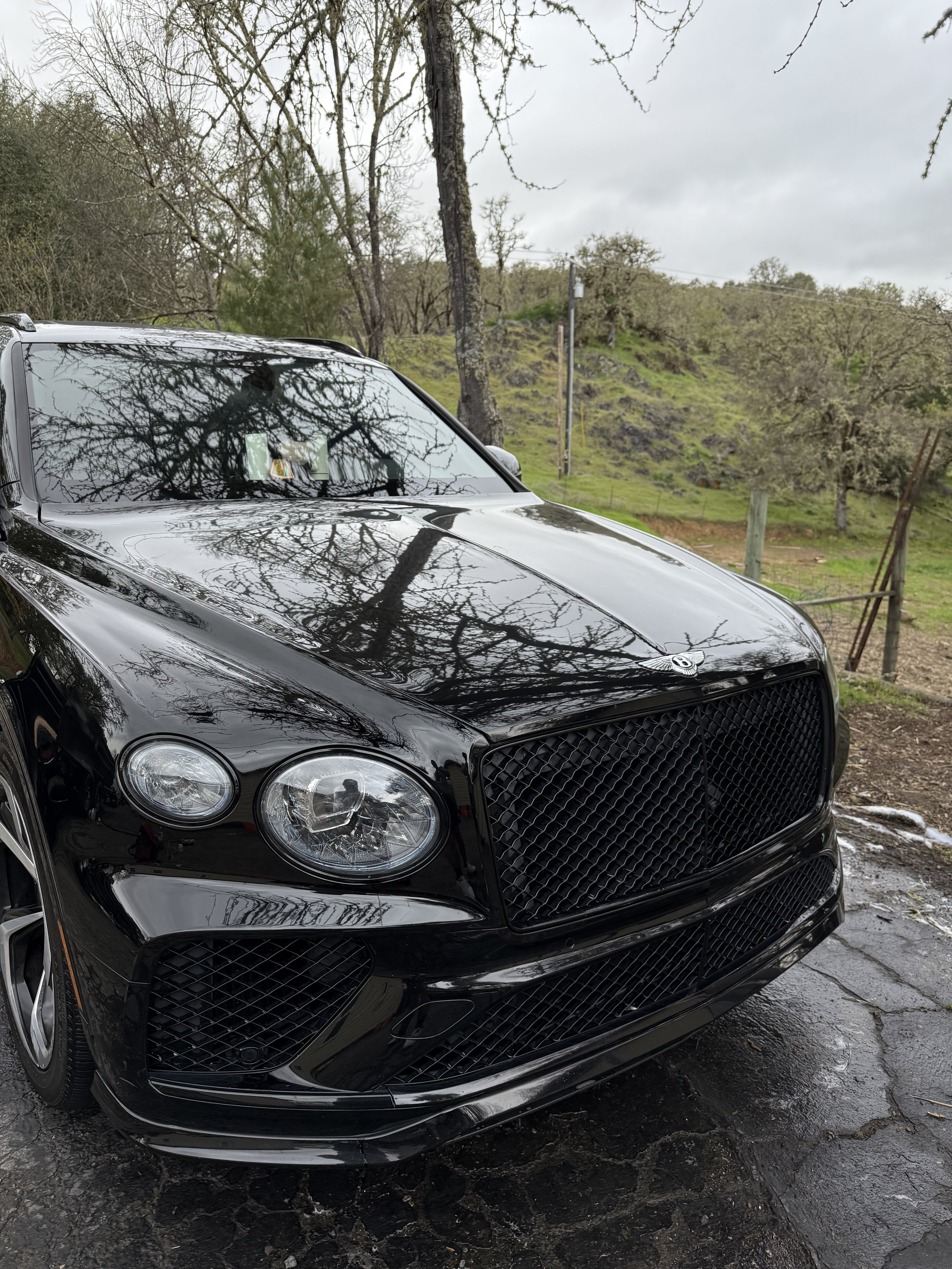 All Auto Custom's: Detailing-Maintenance-Installation in Cobb, CA (5)