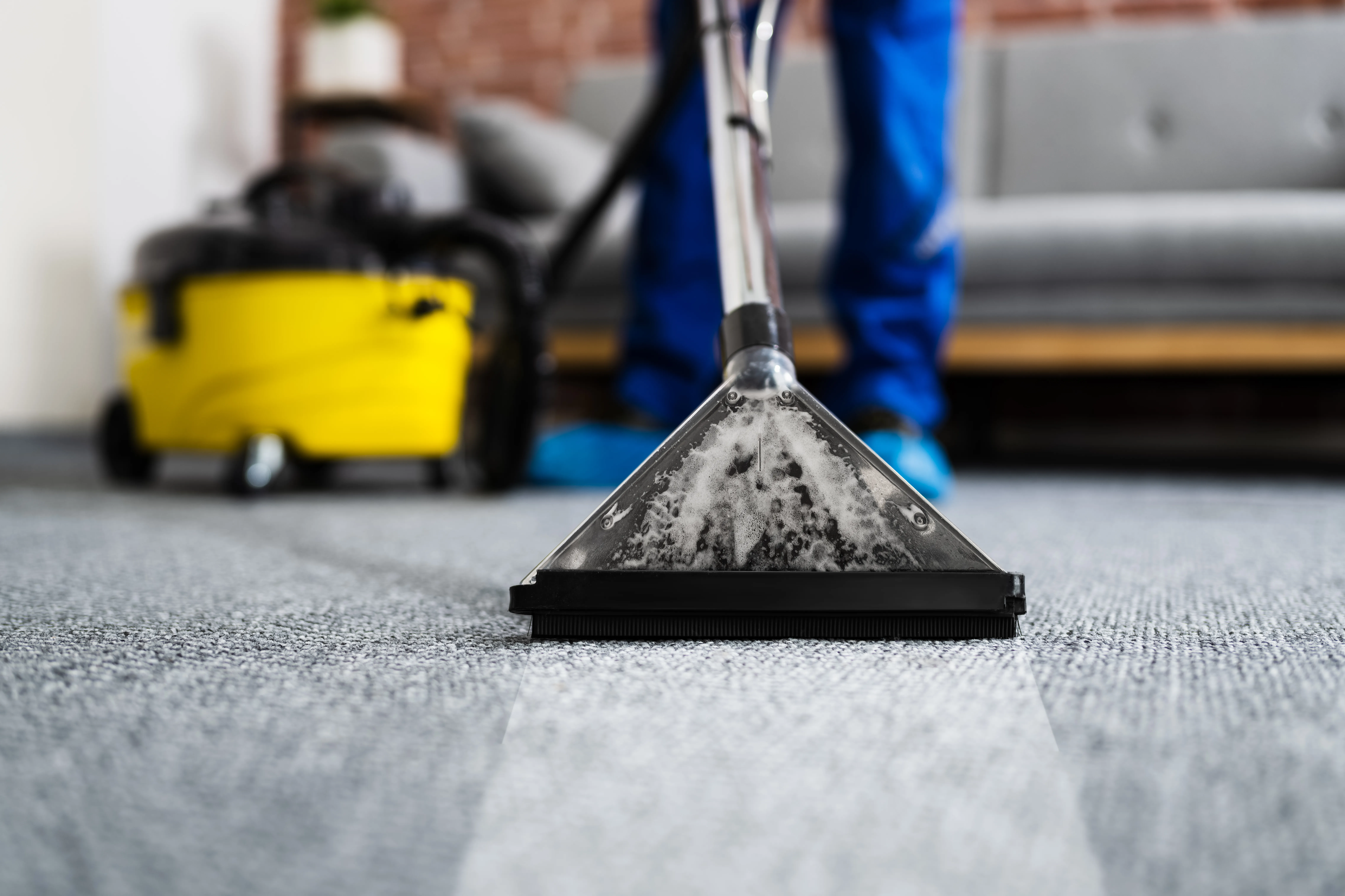 Moses' cleaning service LLC in Alviso, CA
