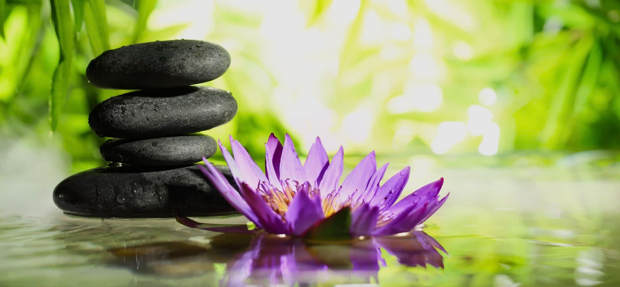 Divine Body Works LLC in Artesia, CA