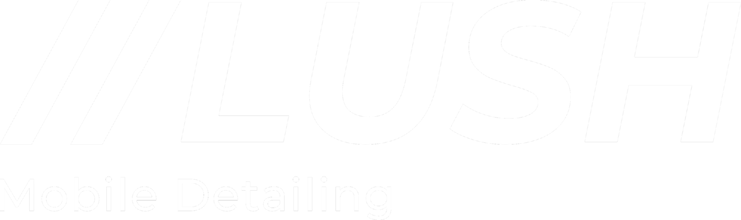 Lush Mobile Detailing - Sarasota Auto Detailing in Sarasota, FL (5)