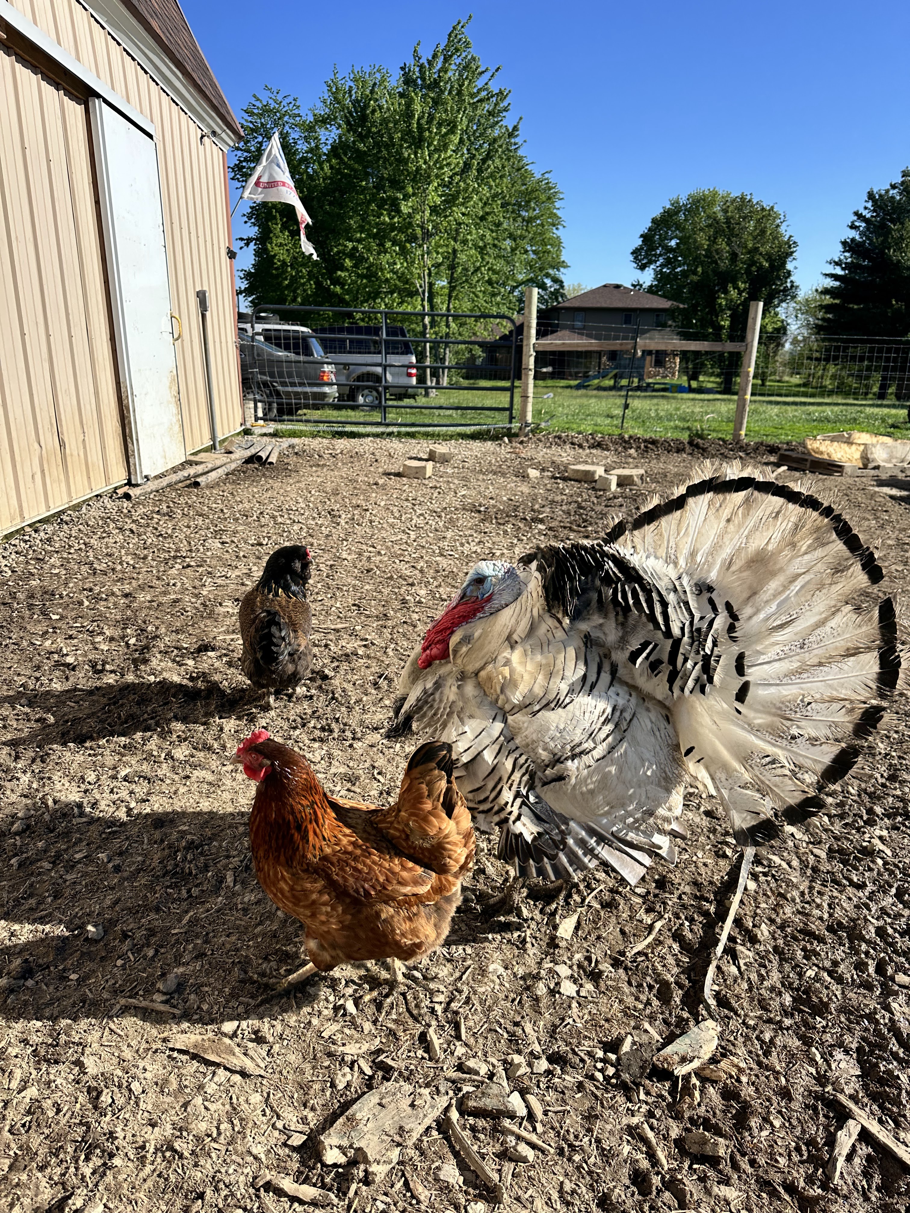 Dalewood Farms in Daleville, IN (4)