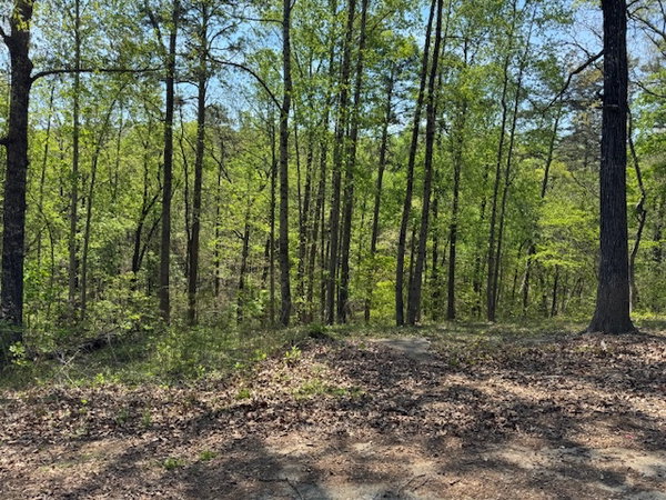 BuyHartwellLake LLC in Anderson, SC (2)