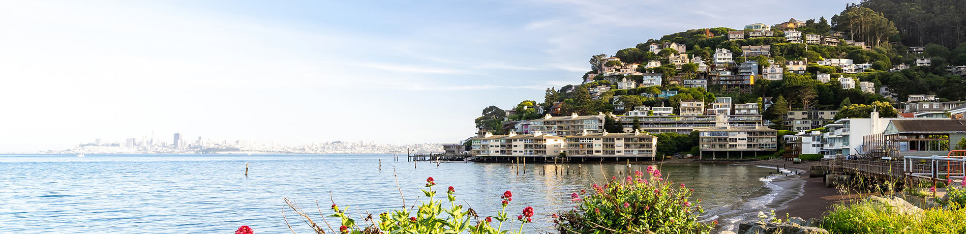 Bay Area Modern Real Estate in Oakland, CA