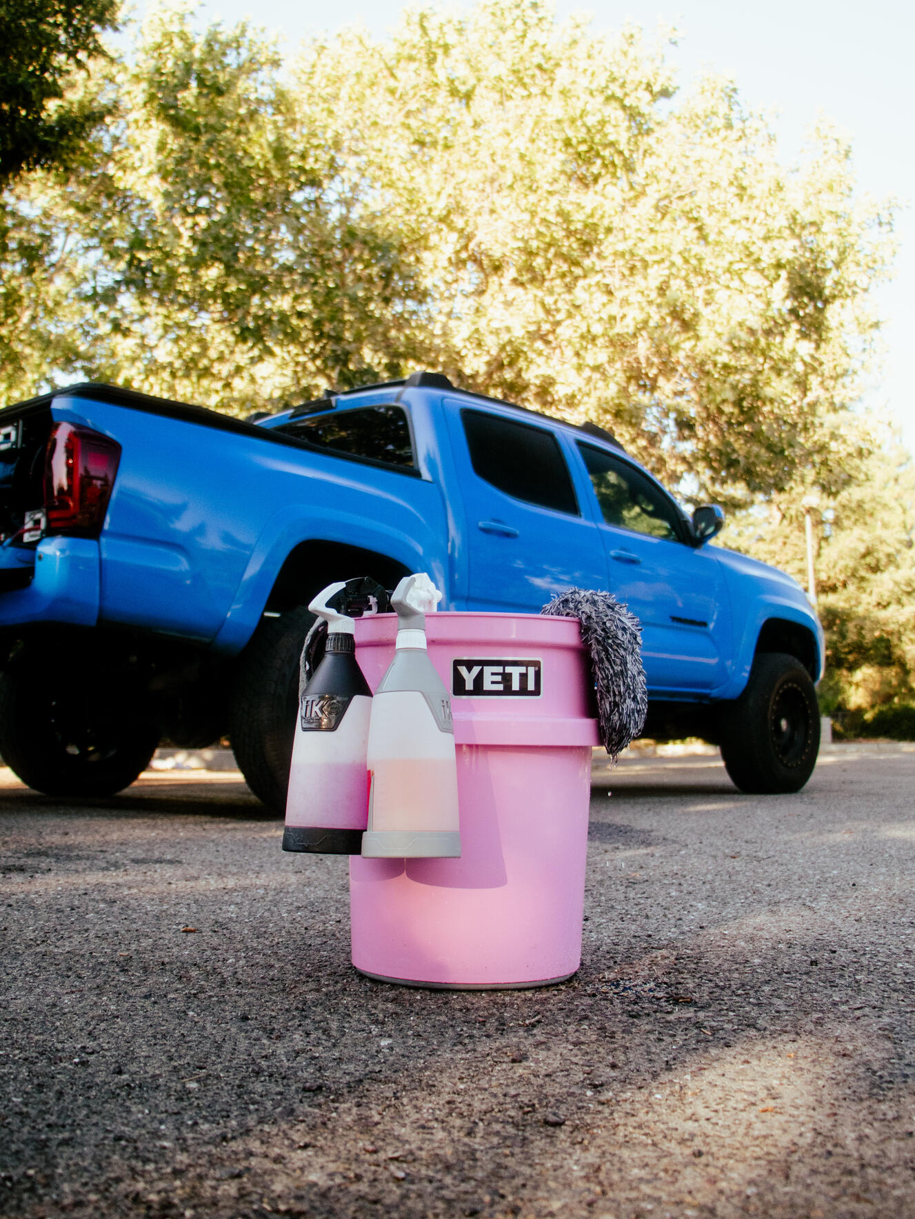 On-site Car Detailing in Ripon, CA (2)