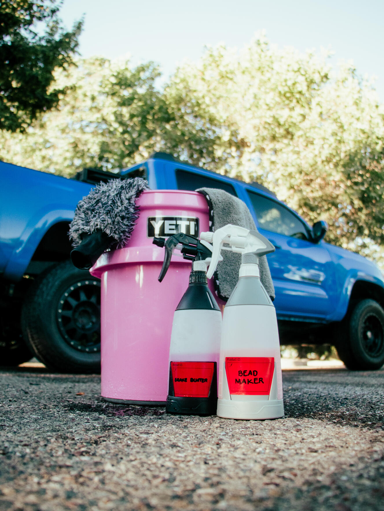 On-site Car Detailing in Ripon, CA (3)