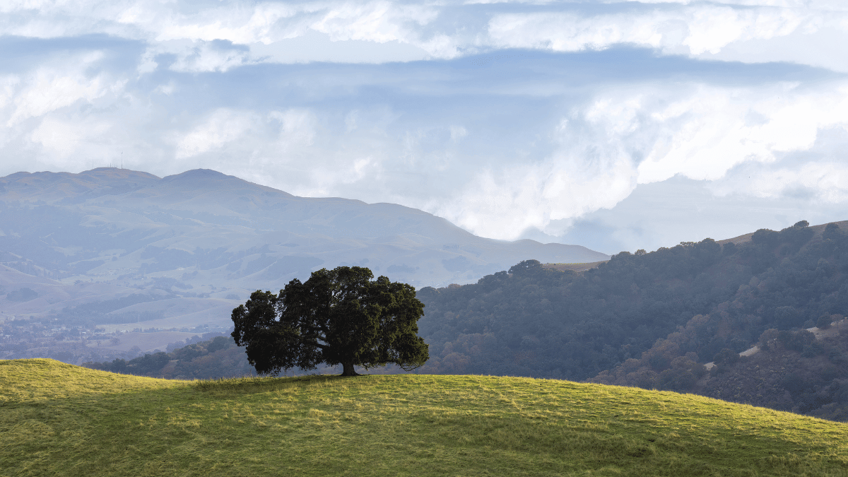 Sensiba LLP in San Ramon, CA