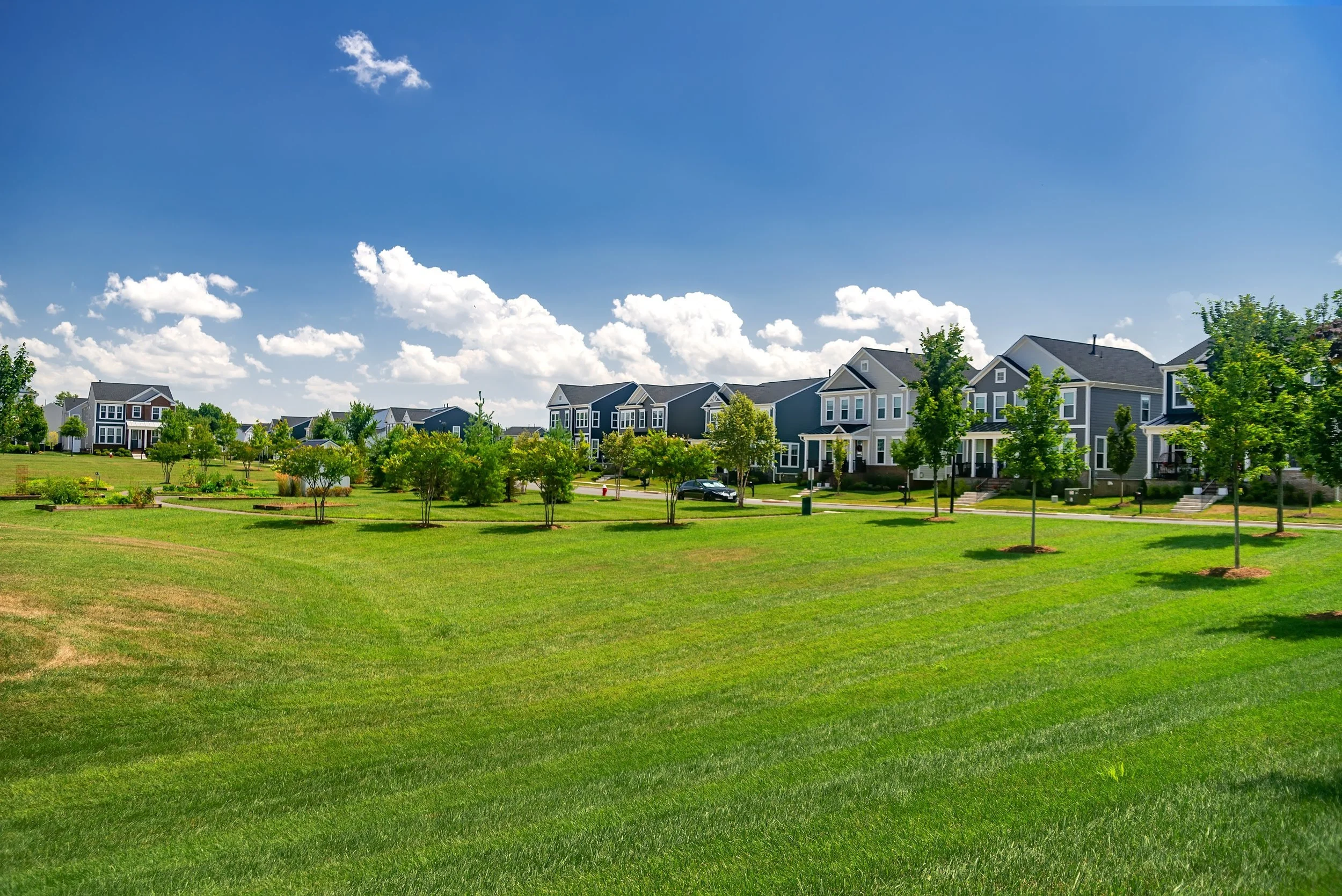Main Street Realtors* in Cedartown, GA