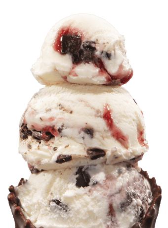 Handel's Ice Cream Poland Ohio in Youngstown, OH (4)