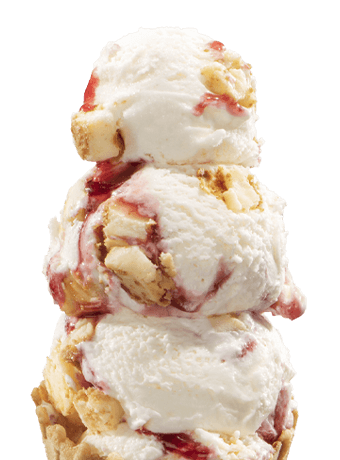 Handel's Ice Cream Poland Ohio in Youngstown, OH (6)