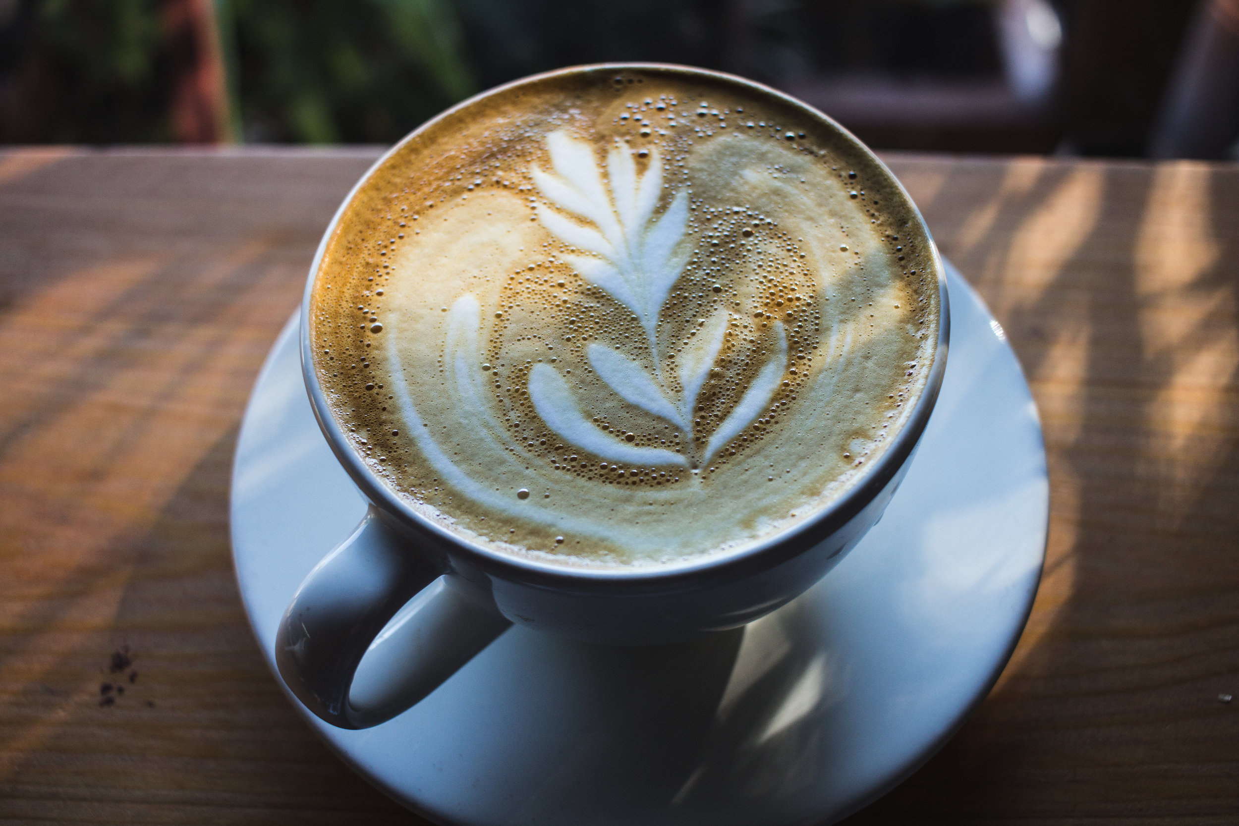 Black Crow Coffee Co Grand Central Dist in St. Petersburg, FL (2)