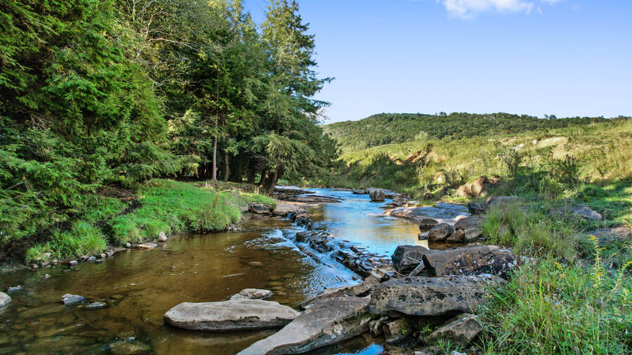 Jimmy Galusky Real Estate - Railey Realty WV Properties in Tallmansville, WV (3)