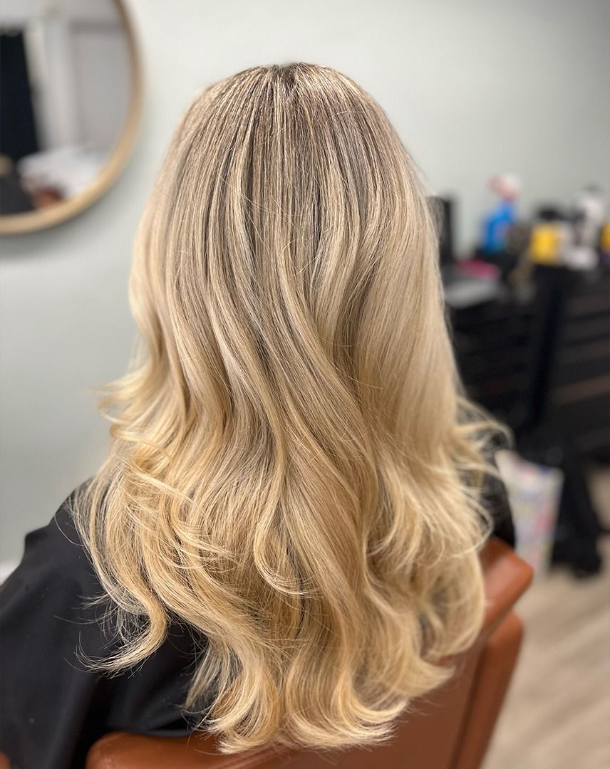 The Mane Attraction in Fort Lauderdale, FL (6)