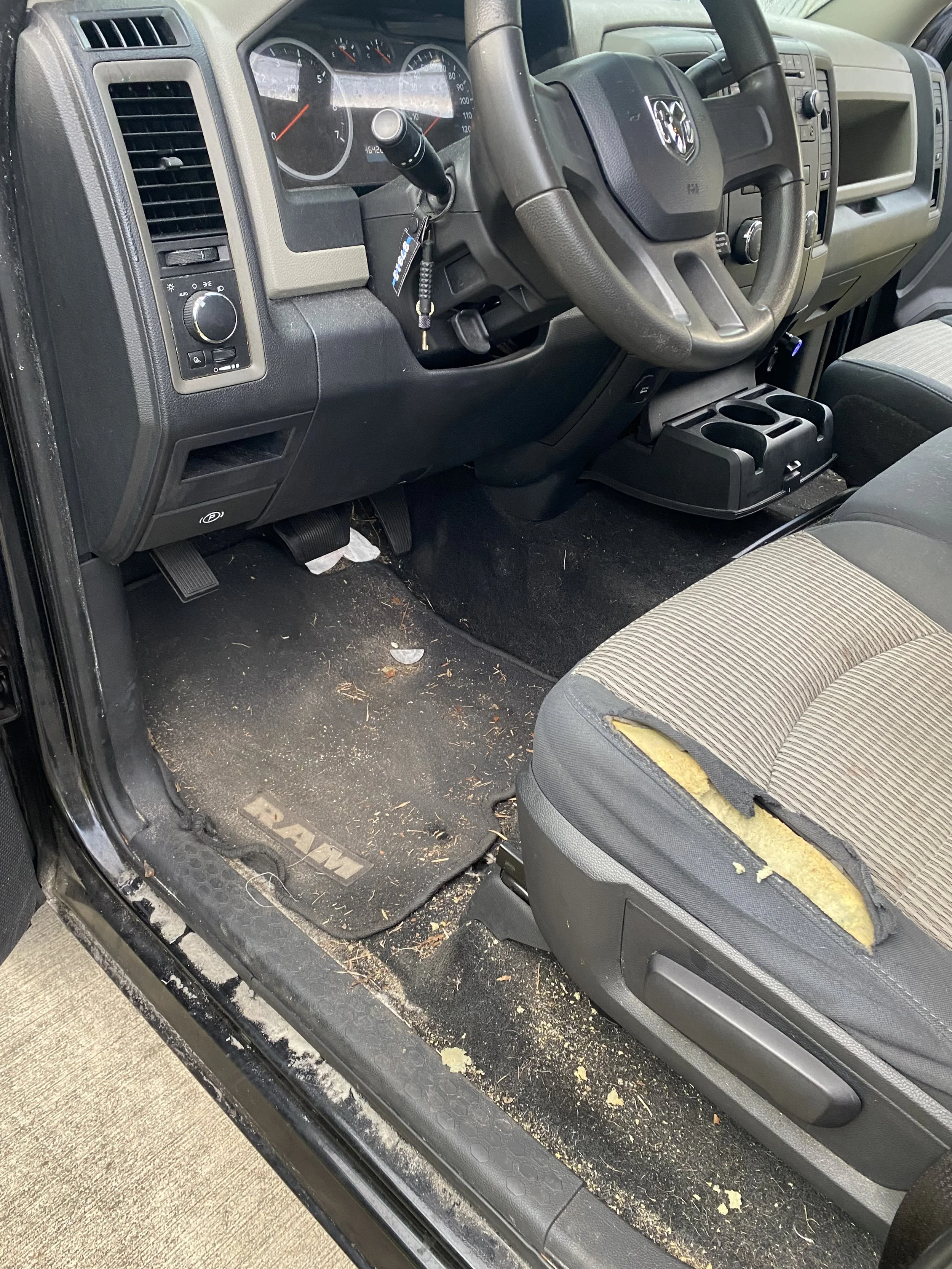 Corey’s Mobile Detailing in Daytona Beach, FL (2)