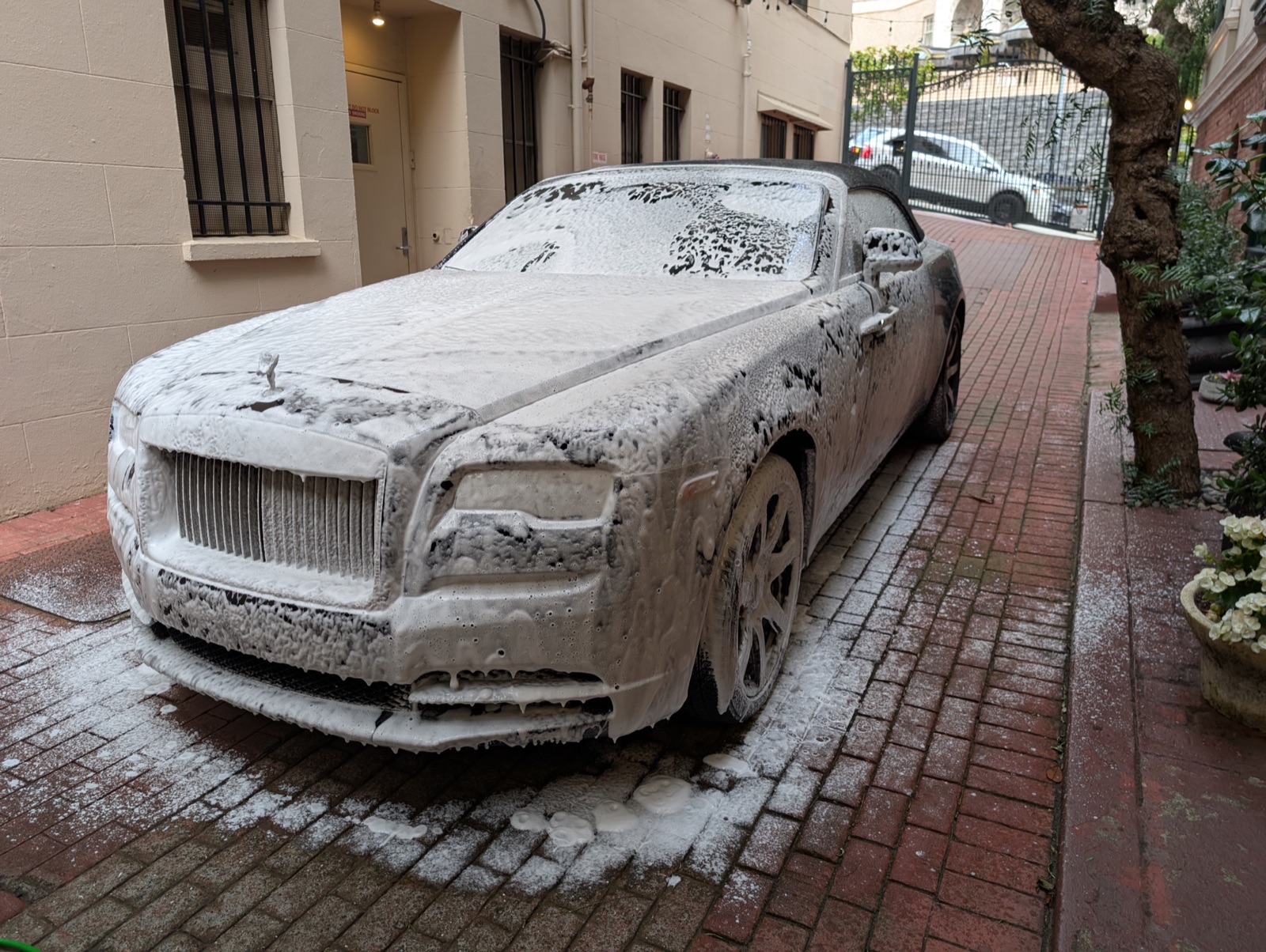 Golden Bay Detailing - Mobile Detailing, Ceramic Coating, Paint Correction in San Francisco, CA (4)