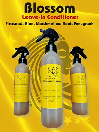 Loc and Braid in Lancaster, TX (2)