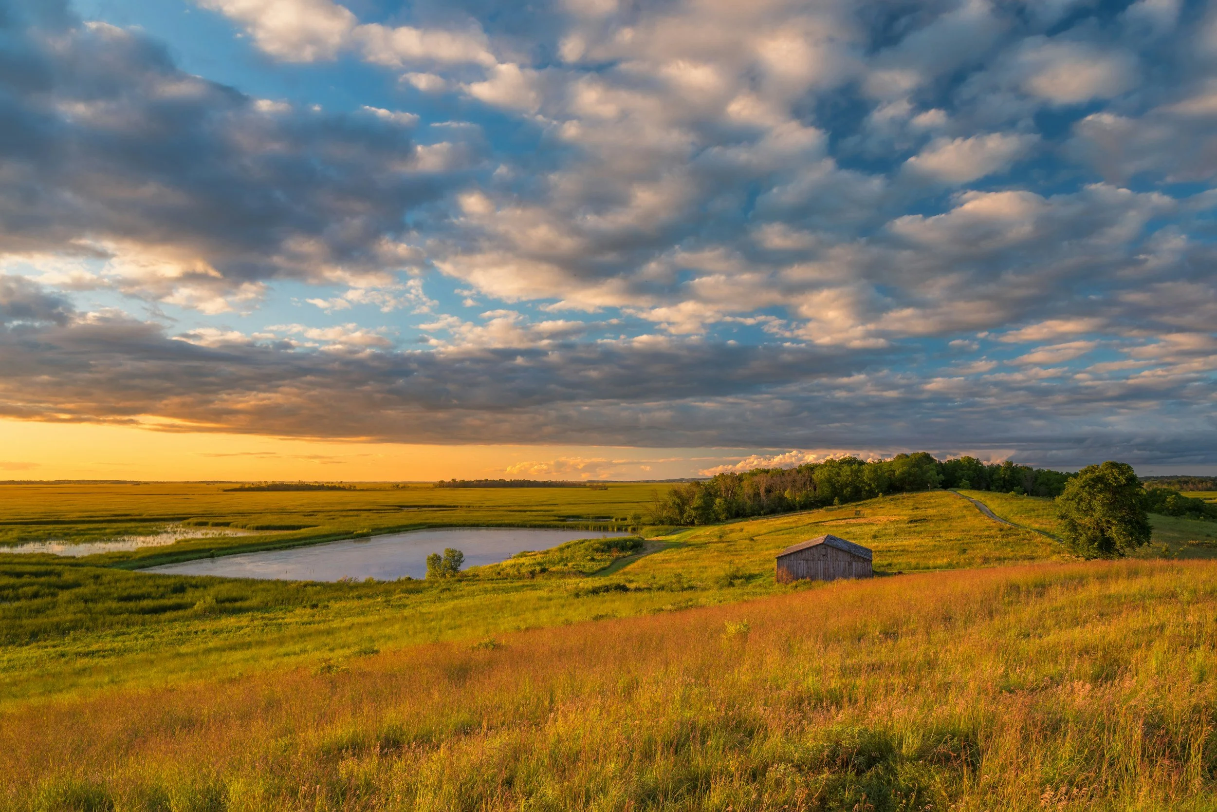 Larson CPA PLLC in Fort Worth, TX (2)