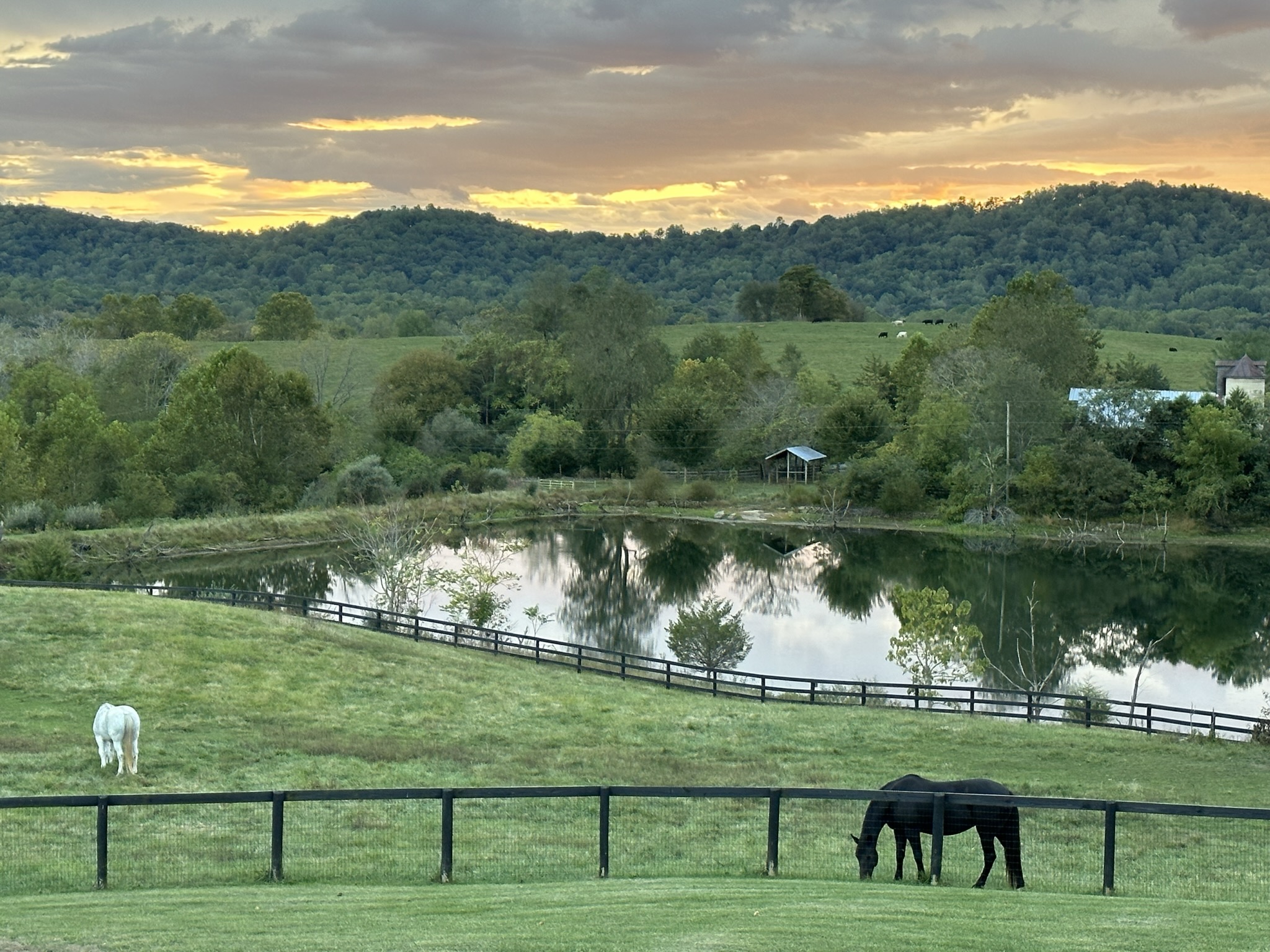 Cheri Woodard Realty in Sperryville, VA (6)