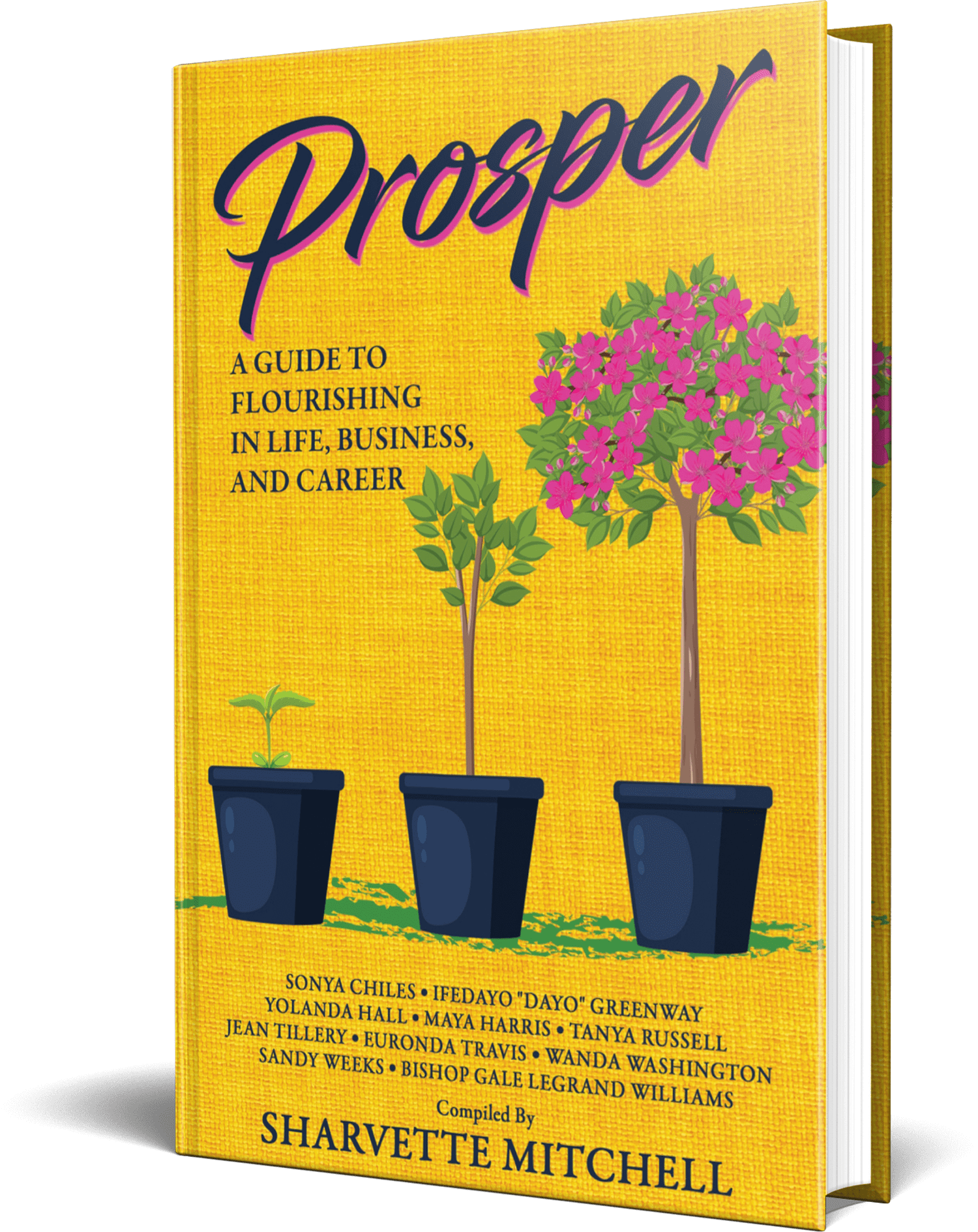 Mitchell Productions, LLC in Richmond, VA (4)