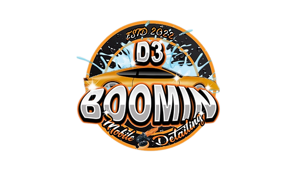 D3 Boomin Mobile Detailing in St. Petersburg, FL (2)