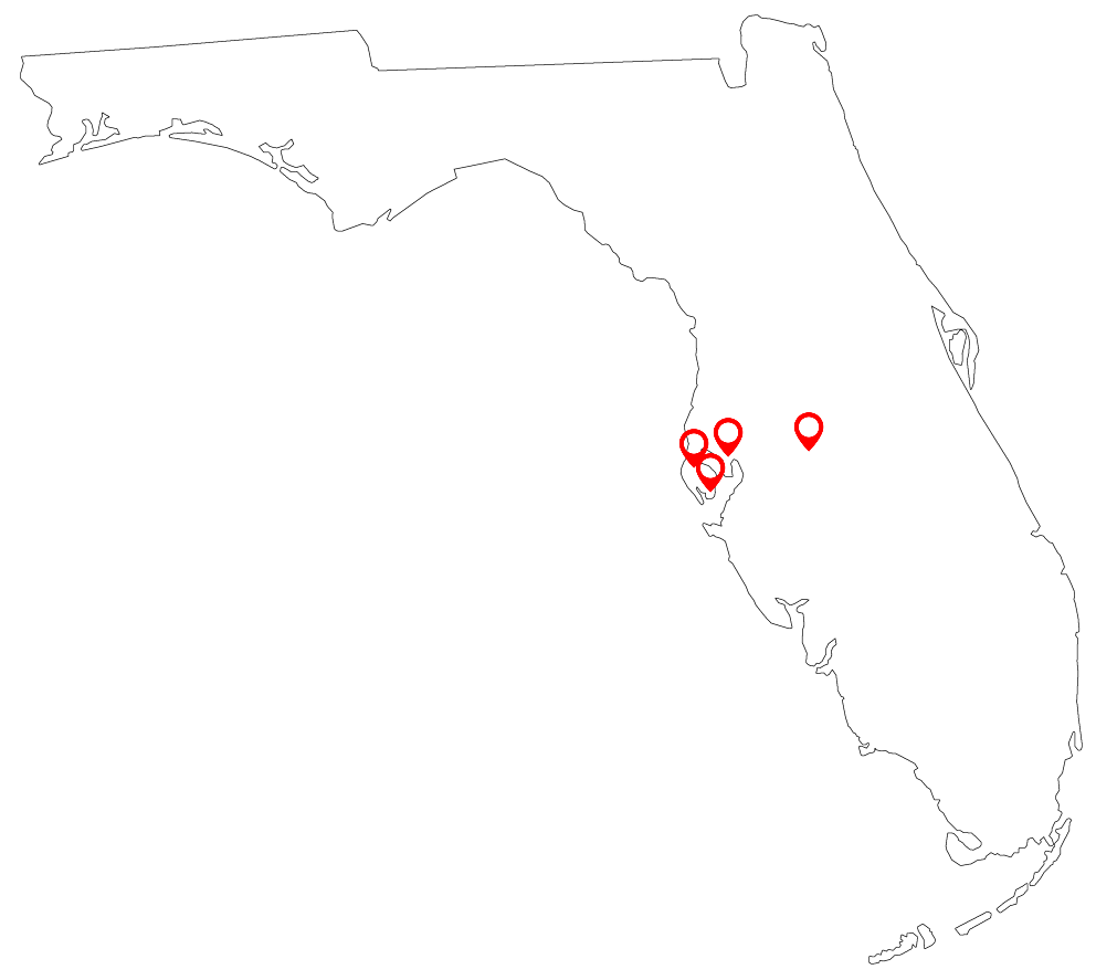Red Light Clean in Tampa, FL (5)