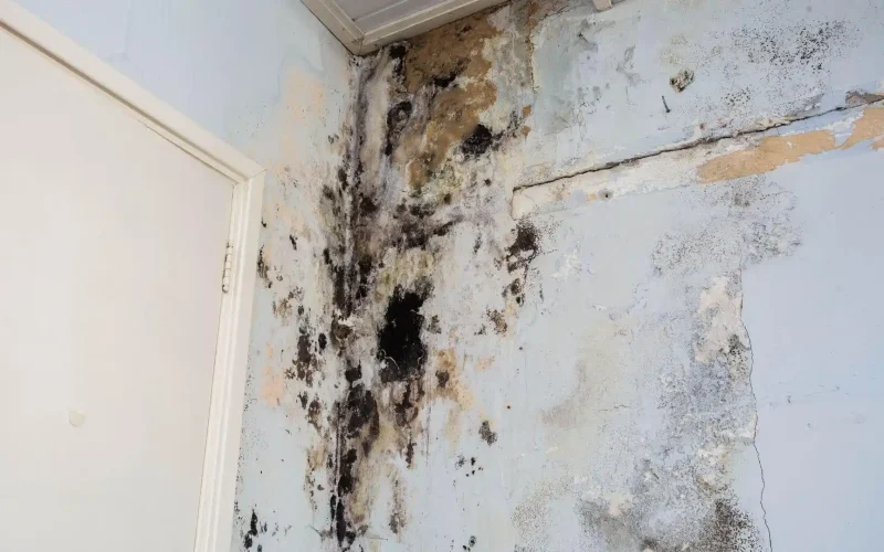 Indoor Air Repair in Schiller Park, IL (2)