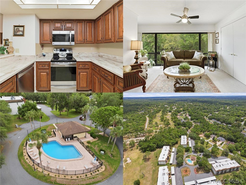 Danielle Browning - Wave Elite Realty Partners in Crystal River, FL (6)