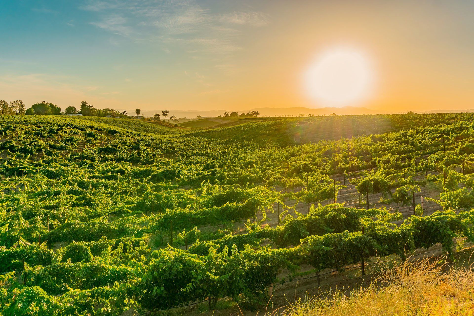 Copeland, Miranda & Benner, CPAs in Temecula, CA