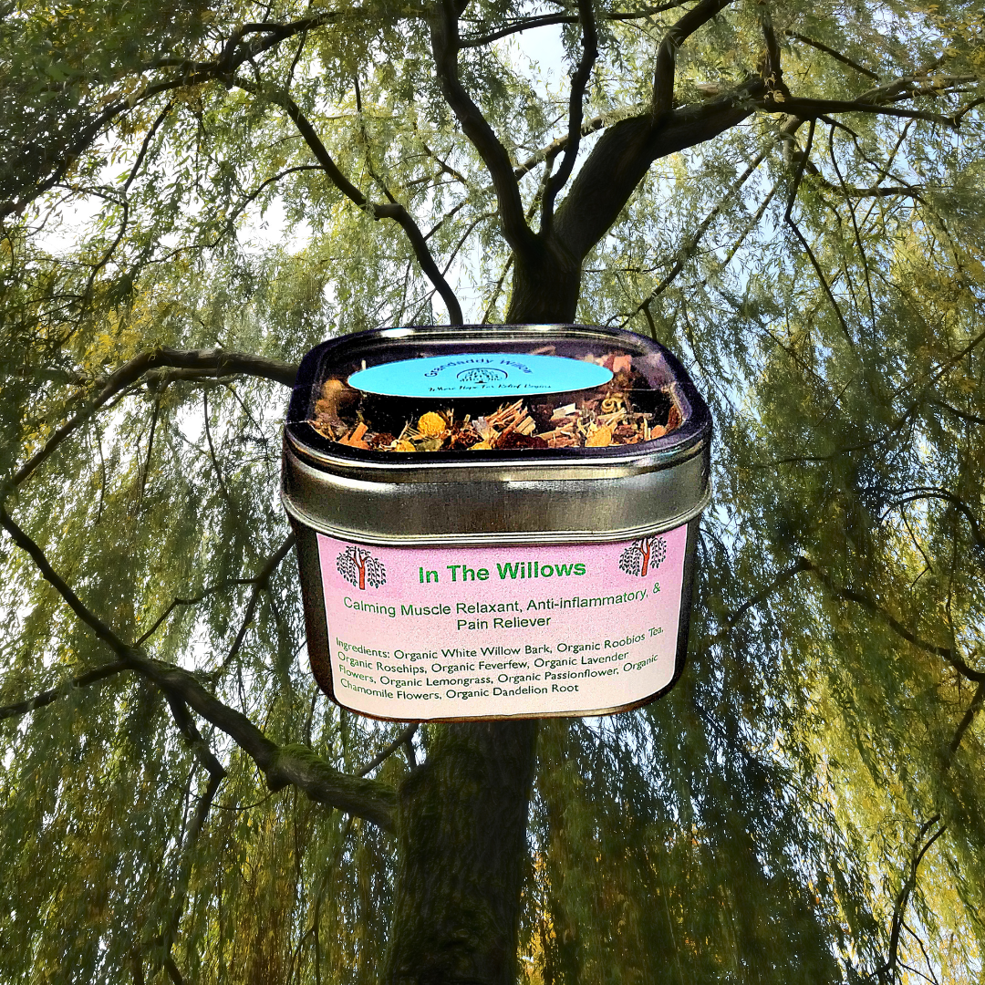 Grandaddy Willow - Waco's Holistic Wellness Shop in Waco, TX (2)